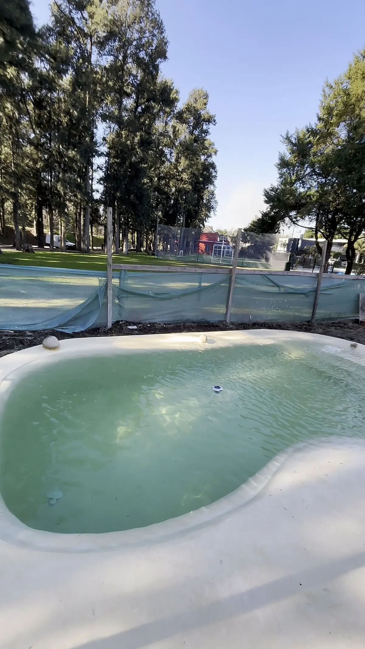 Piscina de forma libre terminada, rodeada de árboles